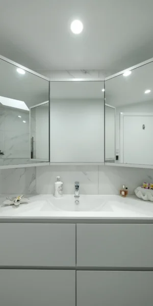 Bathroom in Ironbark 2025 (8)